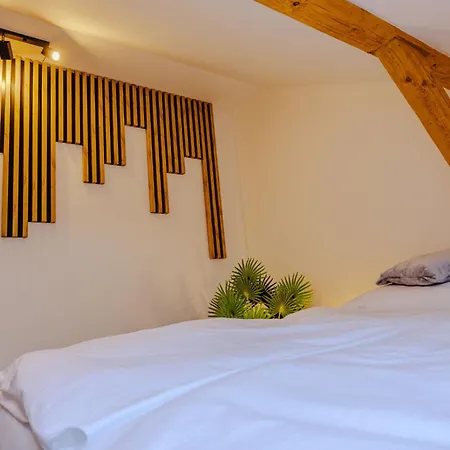 Rezidence Petra Voka 205 By Interhome Apartmán Třeboň