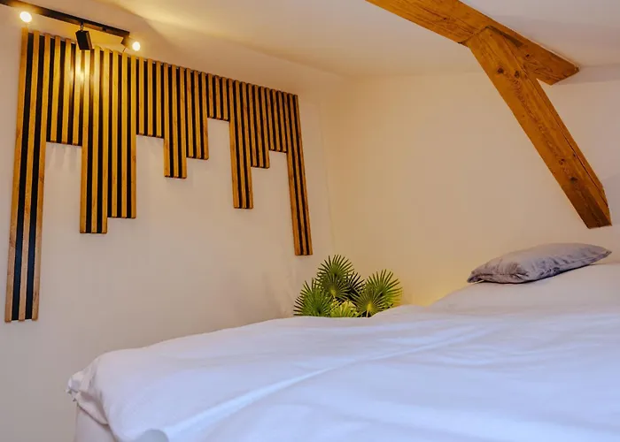 Rezidence Petra Voka 205 By Interhome Appartement Třeboň